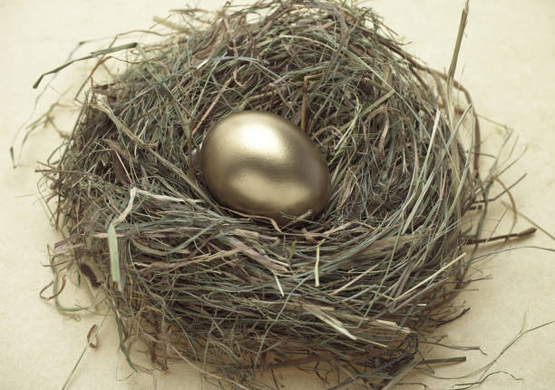 istock Chicken Egg in Nest, Symbolic Image for Gold Egg with Hen 1250421606