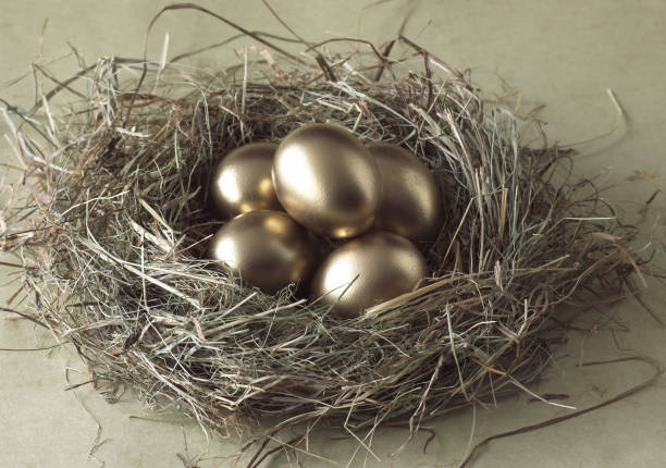 istock Chicken Eggs in Nest, Symbolic Image for Gold Egg with Hen 1250421667