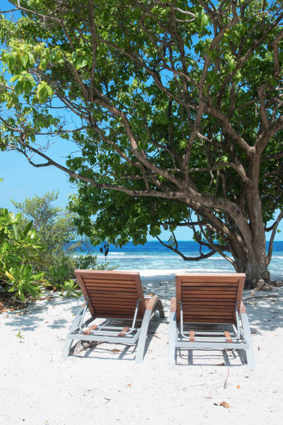 istock Summer beach holiday and vacation scene 1250427097