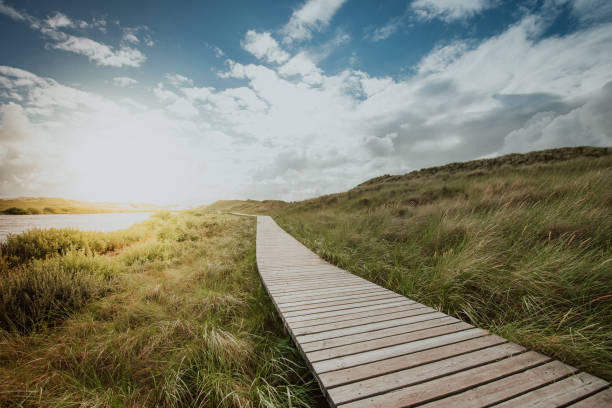 Way through the dunes Boardwalk through the dunes, Amrum, Germany amrum stock pictures, royalty-free photos & images