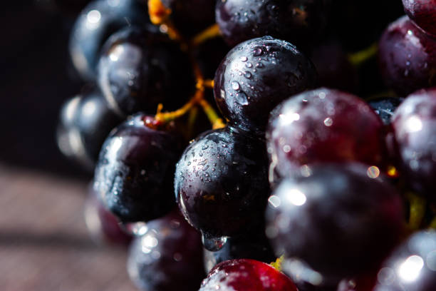 Purple grapes close-up in water droplets. Grape berries in selective focus stock photo