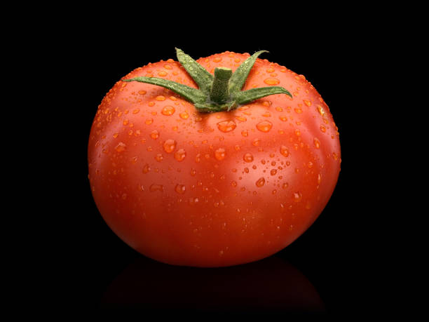 istock Fruit of large, fresh tomato covered with water drops 1250430811