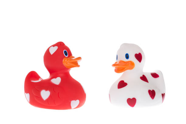3 Yellow rubber ducks with soap suds on their heads, swimming in a line on white background