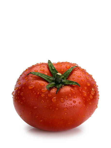 istock Fruit of large, fresh tomato covered with water drops 1250430953