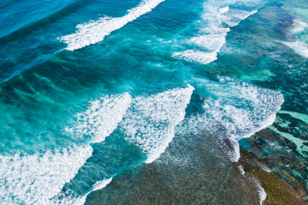 istock Big ocean waves hitting a coral rif. View from above. 1250432325