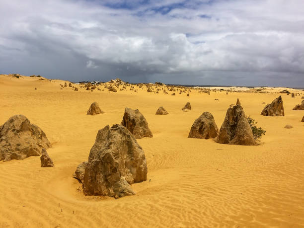 istock The Pinnacles Desert in Western Australia 1250434449