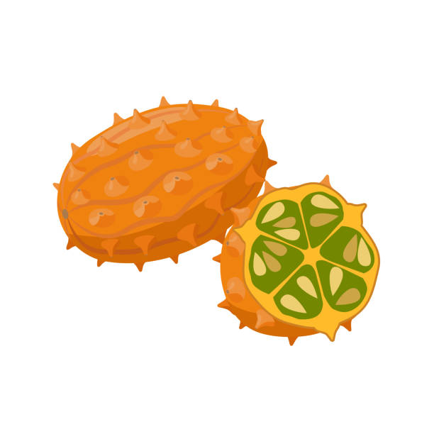 kiwano vektor-illustration isoliert auf weißem hintergrund. saftige tropische exotische früchte - gehörnte melone - kawani fruit stock-grafiken, -clipart, -cartoons und -symbole