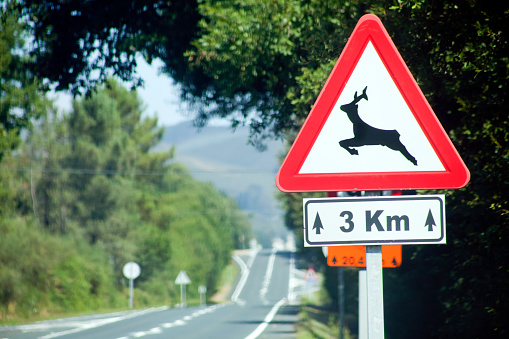 Close up of wild animals warning road sign, country road in the background copy space on the left.
