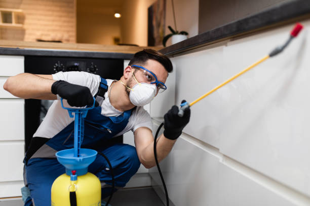 House pest control Professional exterminator in protective workwear spraying pesticide in apartment kitchen. exterminator photos stock pictures, royalty-free photos & images