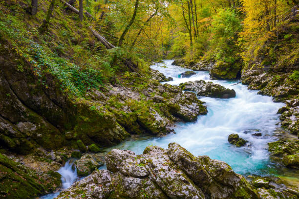 istock Slovenia. The Julian Alps 1250438320