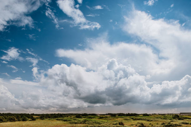 Beautiful green grass landscape with trees and a huge blue sky