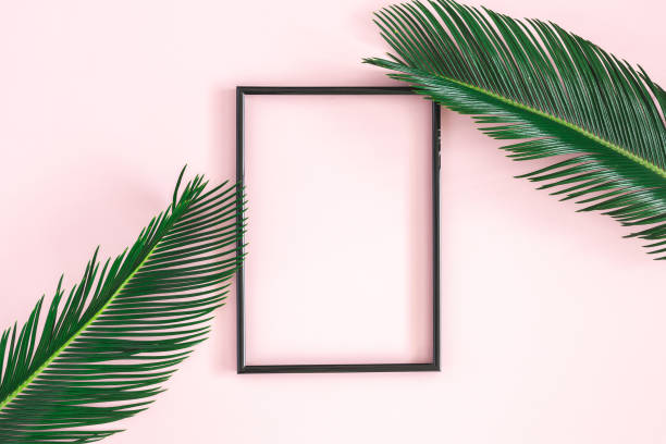 istock Summer composition. Tropical leaves, photo frame on pink background. Summer concept. Flat lay, top view, copy space 1250439663