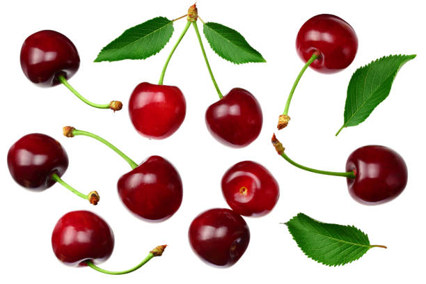 istock cherry with green leaf isolated on white background. Top view 1250441431