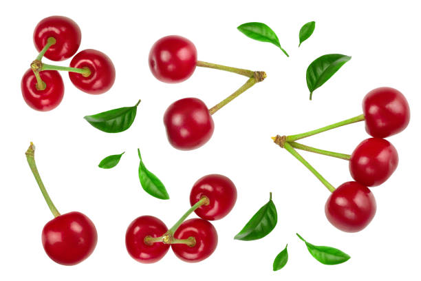 istock Some cherries with leaf closeup isolated on white background. Top view. Flat lay. 1250443383