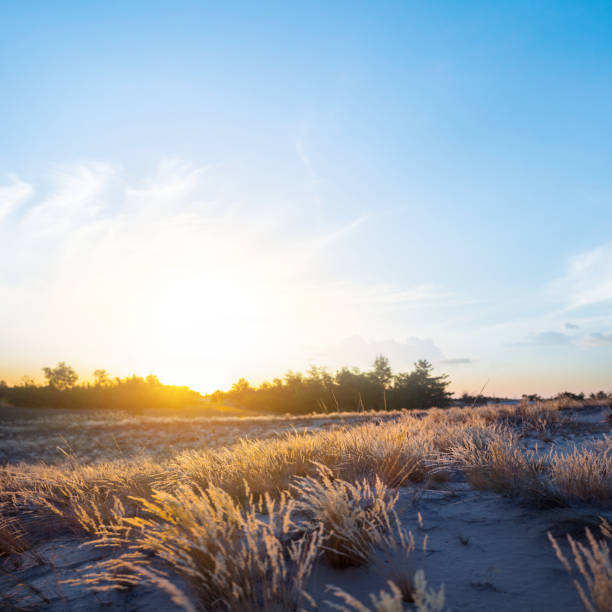 wide prairie scene at the sunset, evening outdoor summer landscape - prairie wide landscape sky imagens e fotografias de stock