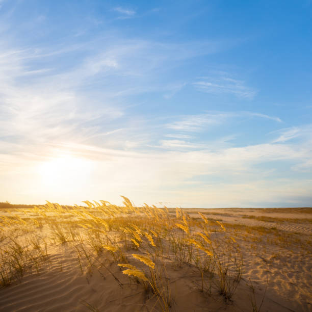 wide prairie scene at the sunset, evening outdoor summer landscape - prairie wide landscape sky imagens e fotografias de stock