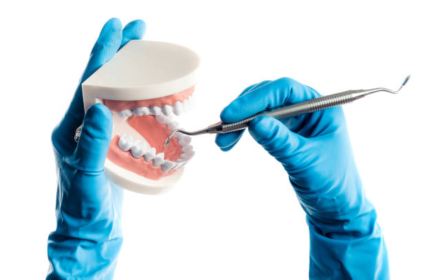 istock Hands in blue gloves examinating teeth model isolated 1250446225
