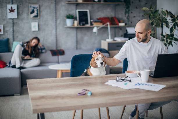 istock Young man working from home in a relaxing environment 1250447892