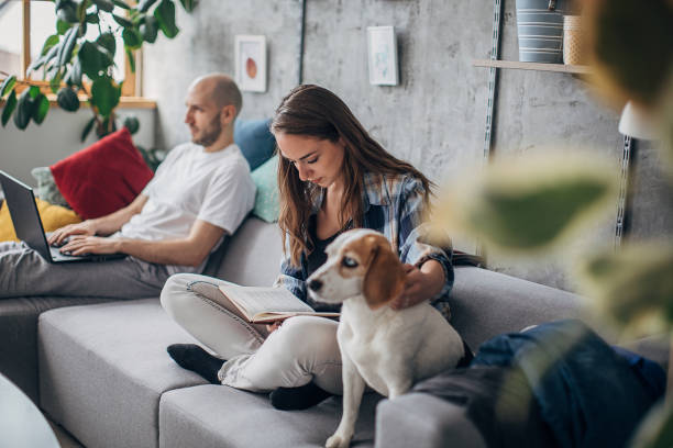 istock Man working in relaxing atmosphere with his girlfriend and beagle dog 1250449406