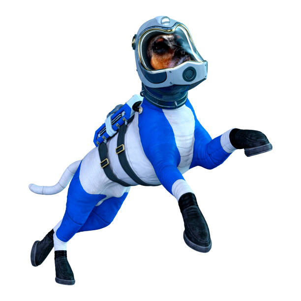 istock 3D illustration astronaut dog on white 1250449424