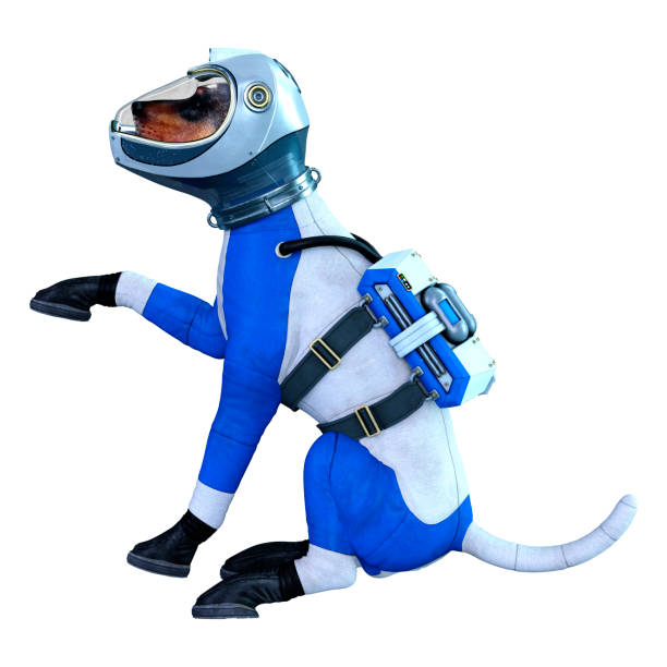 istock 3D illustration astronaut dog on white 1250449439