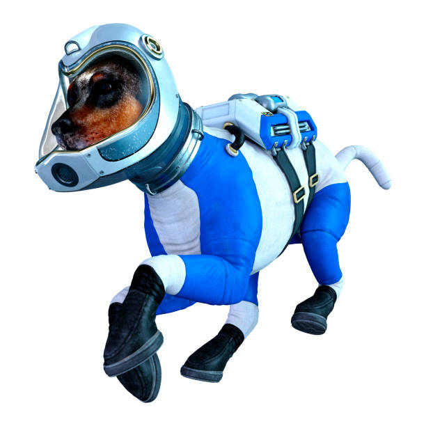 istock 3D illustration astronaut dog on white 1250449469