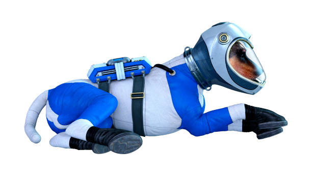 istock 3D illustration astronaut dog on white 1250449472