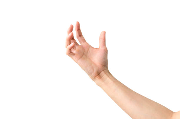 istock Empty Hand showing gesture holding the bottle, a hand holding something like a bottle or smartphone isolated on white background with clipping path. 1250450193