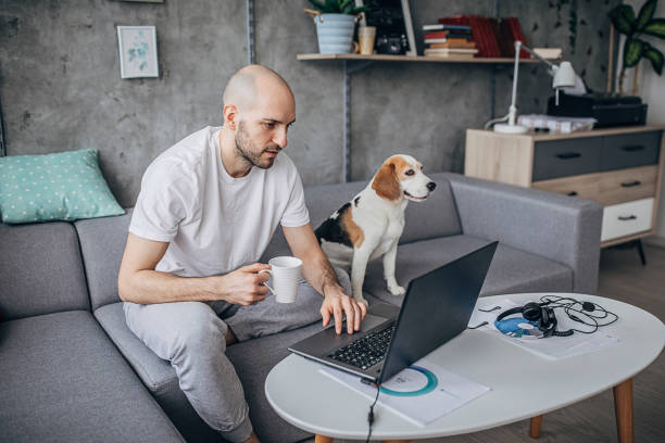 istock Dog keeps a man company while he working on laptop at home 1250450387