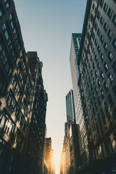 istock Office skysraper in New York City 1250452449