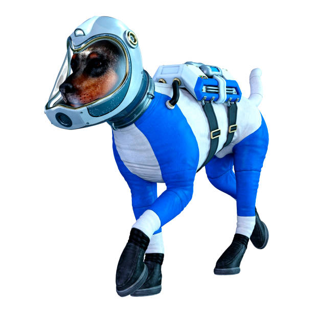 istock 3D illustration astronaut dog on white 1250453739