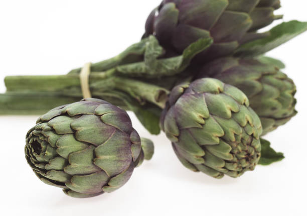 istock Artichoke, cynara scolymus, Vegetable against White Background 1250455367