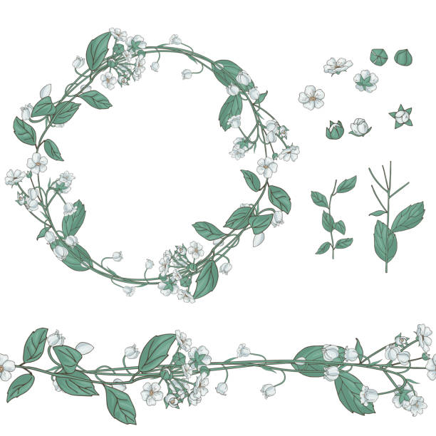 istock set of wildflower and lily of the valley elements 1250457455