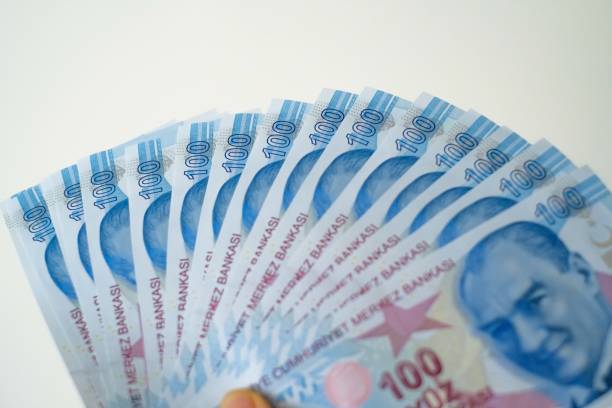 Hand holding hundred Turkish money Banknote