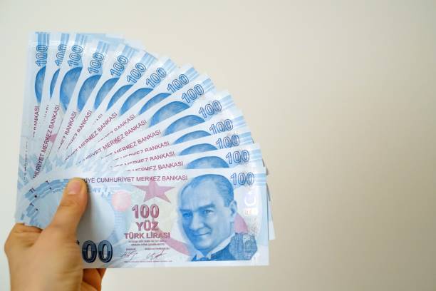 istock Hand holding hundred Turkish money Banknote 1250457689