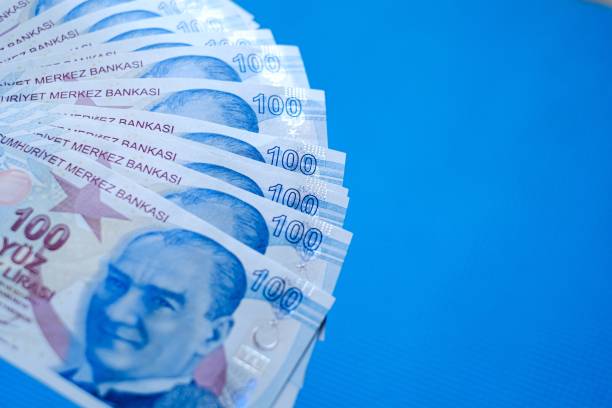 istock Hand holding hundred Turkish money Banknote 1250457713