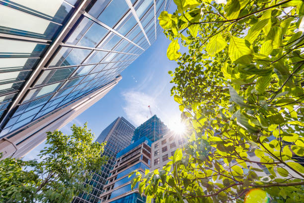 istock Skyscrapers in Tokyo with beautiful fresh green 1250457761