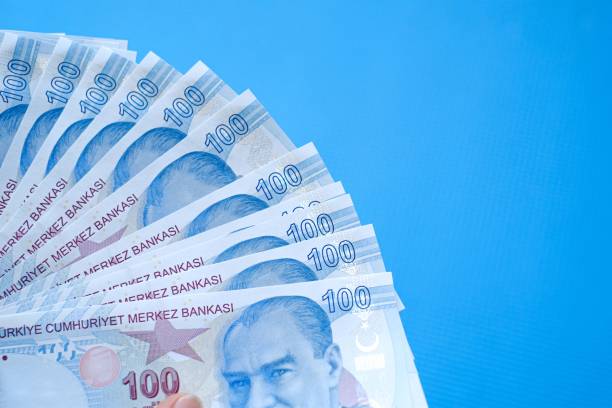 Hand holding hundred Turkish money Banknote