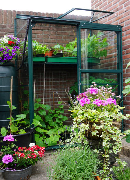 un petit jardin avec peu de serre dans la ville. cultiver ses propres fleurs, plantes et légumes. petit jardin botanique urbain anglais sur une petite zone. - vertical garden photos et images de collection