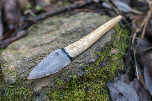 flint knife - stone age tool flint knife - stone age tool (leaf blade in deer antler) in nature flint stone stock pictures, royalty-free photos & images