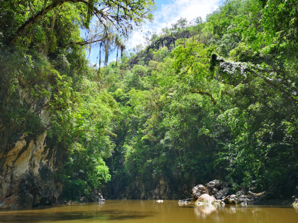 istock The Estor Canyon from boat 1250460399
