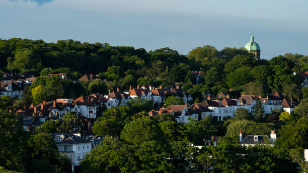 istock landscape london with houses emerging through trees 1250461425