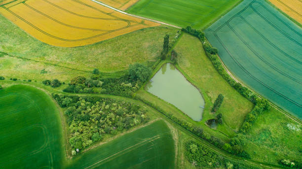 istock Agricultural area, fields and ponds - aerial view 1250461937