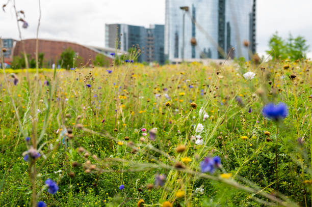 istock spring in Milano downtown, Italy 1250461968
