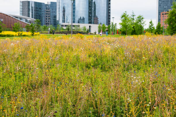 istock spring in Milano downtown, Italy 1250462040