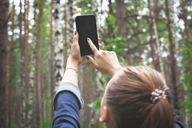 istock Girl hands holding smartphone in forrest and touching device screen. 1250463303