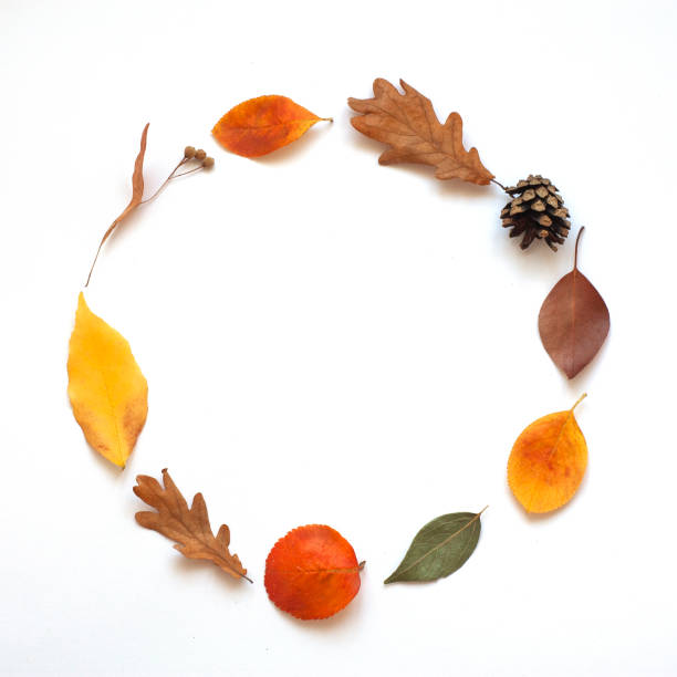istock Autumn round frame made of dried leaves and pine cone 1250464747