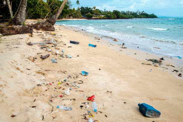 istock Beach in Thailand ruined by heavy plastic pollution. Ecological problem concept 1250467295