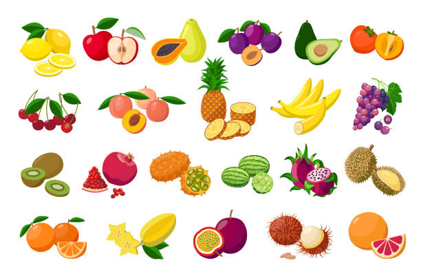 große obstsammlung detaillierte vektor-illustrationen isoliert auf weißem hintergrund. juicy pitaya, durian, carambola, kiwano, rambutan, cucamelon, pomelo, gefingerte zitrone, passionsfrucht, pfirsiche, zitrone. - kawani fruit stock-grafiken, -clipart, -cartoons und -symbole