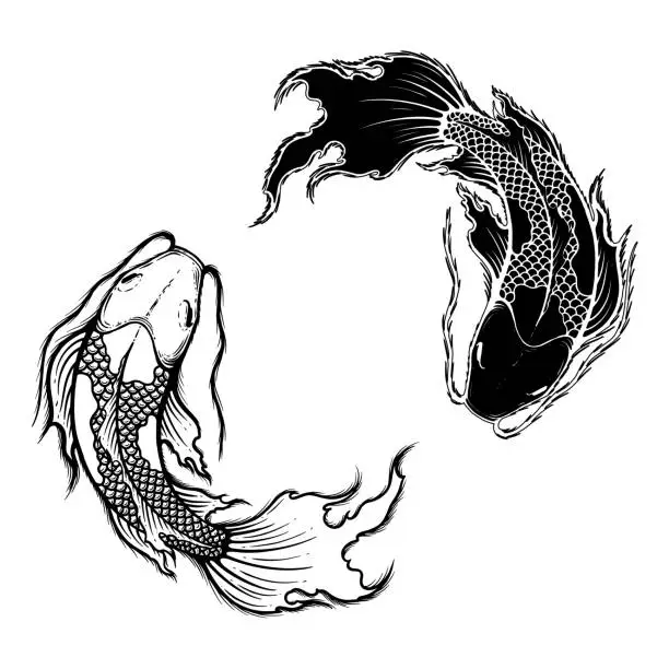 Vector illustration of Hand drawn outline Koi fish vector illustration, tattoo design, japan style, line art ink work, animal wildlife. black and white.